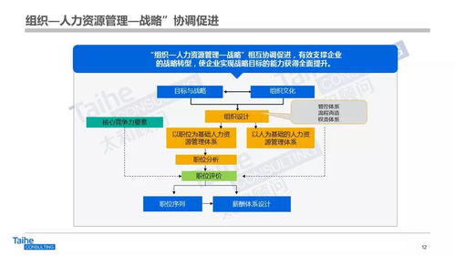 構建以網絡技術開發為驅動的人力資源管理體系，助力企業實現跨越式發展